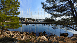 kornati cup sailprofessionals marina zut